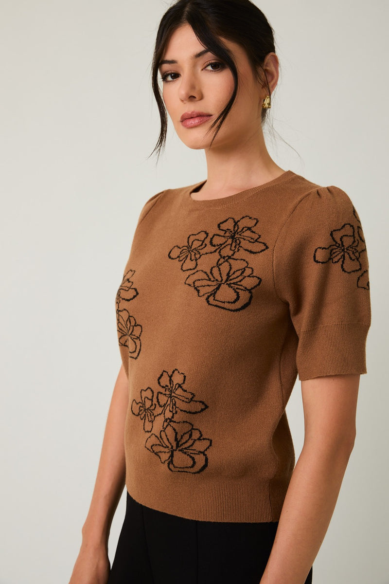 Sable Flower Graphic Sweater Top, Brown-Black