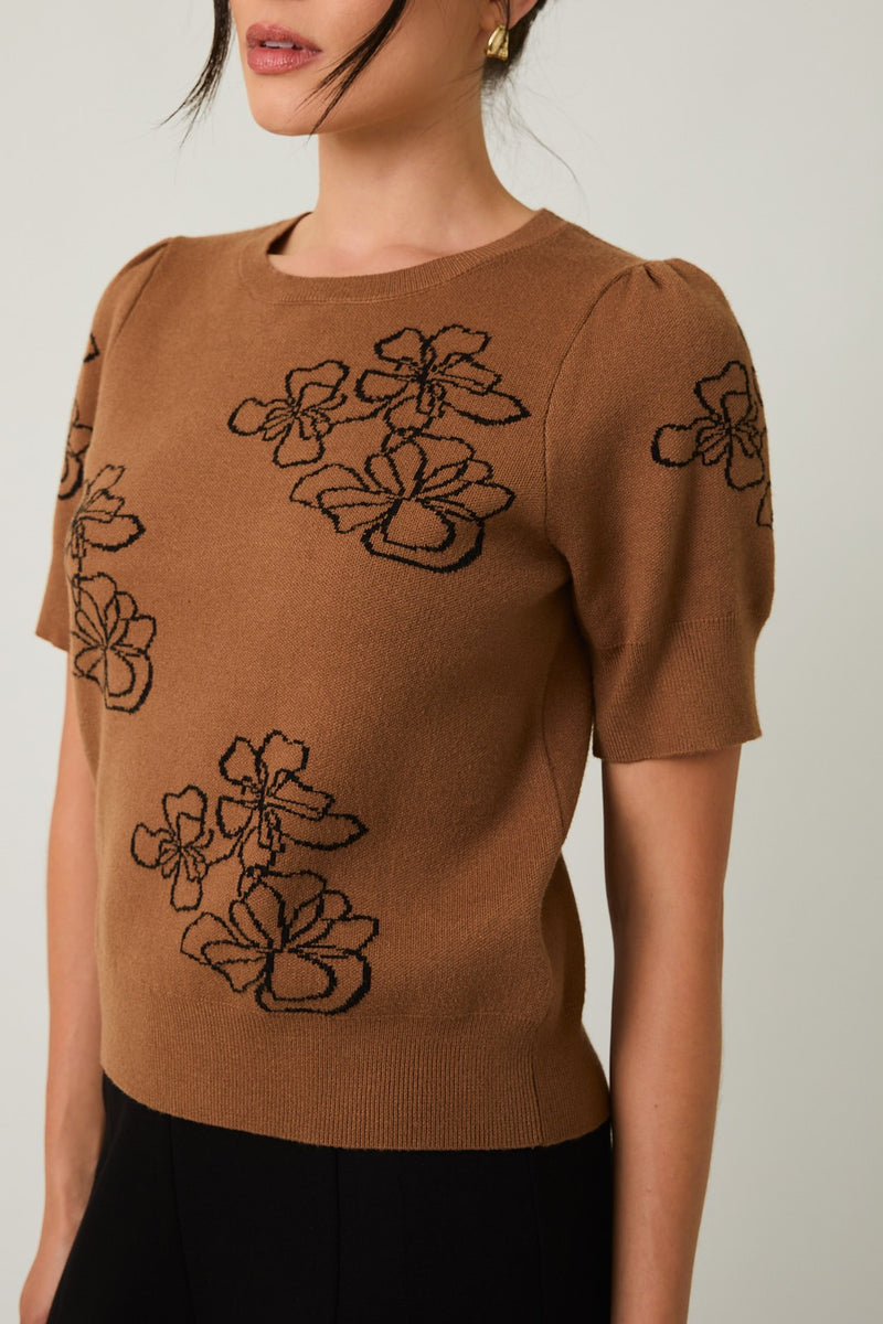 Sable Flower Graphic Sweater Top, Brown-Black
