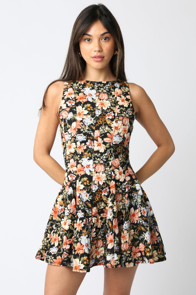 Linda Floral A-Line Denim Dress, Black Multi
