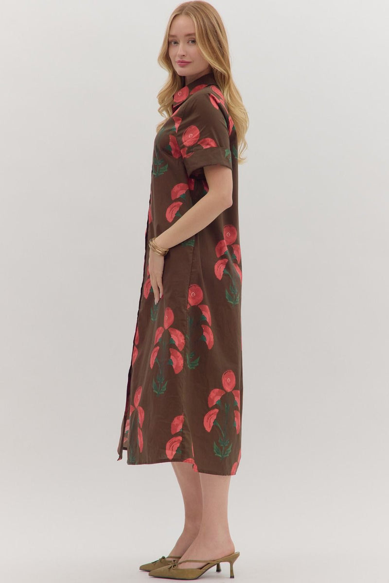 Beatrice Shirt Dress, Brown
