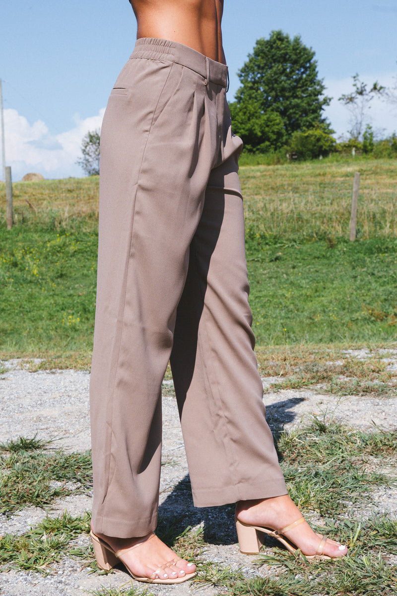 Annabelle Wide Leg Dress Pants, Mocha