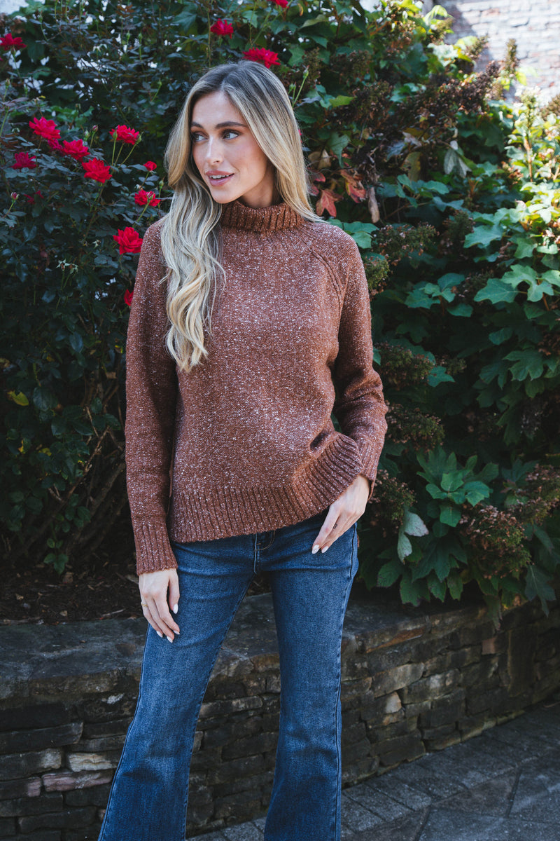 Adari Turtleneck Sweater, Brown