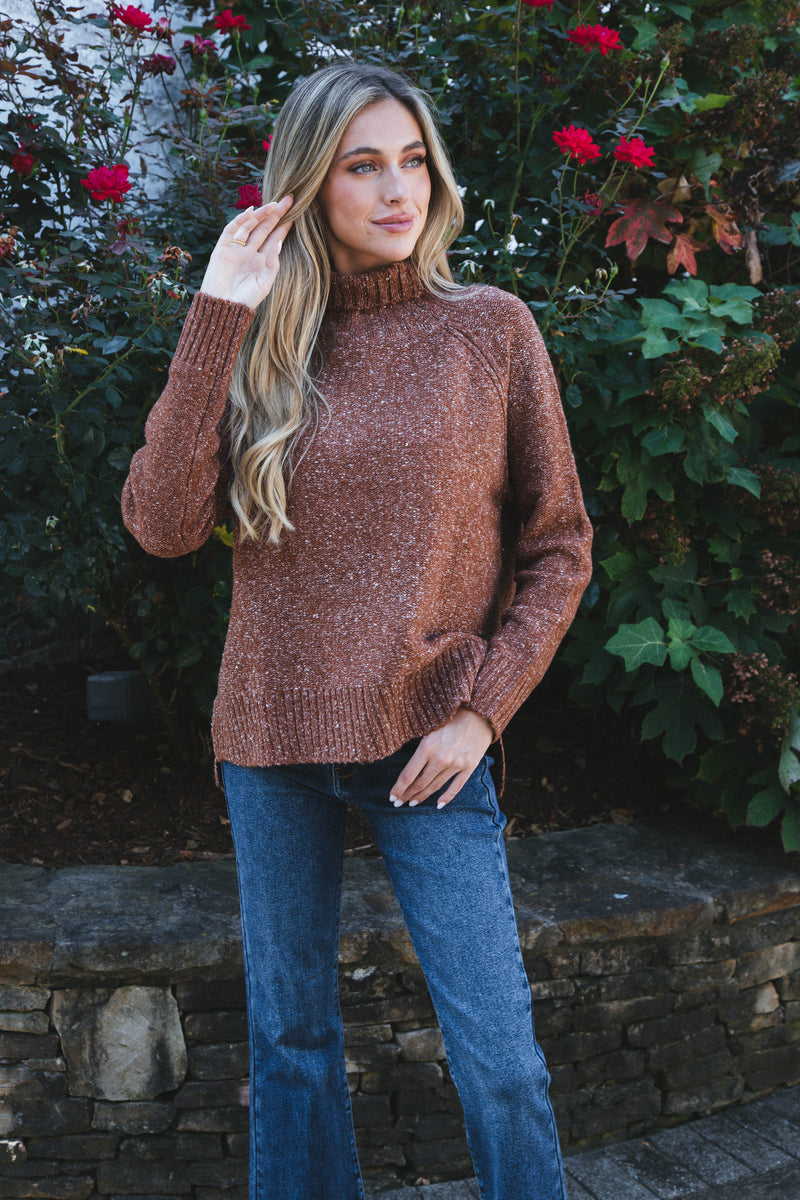 Adari Turtleneck Sweater, Brown