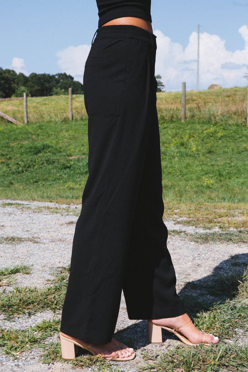 Annabelle Wide Leg Dress Pants, Black