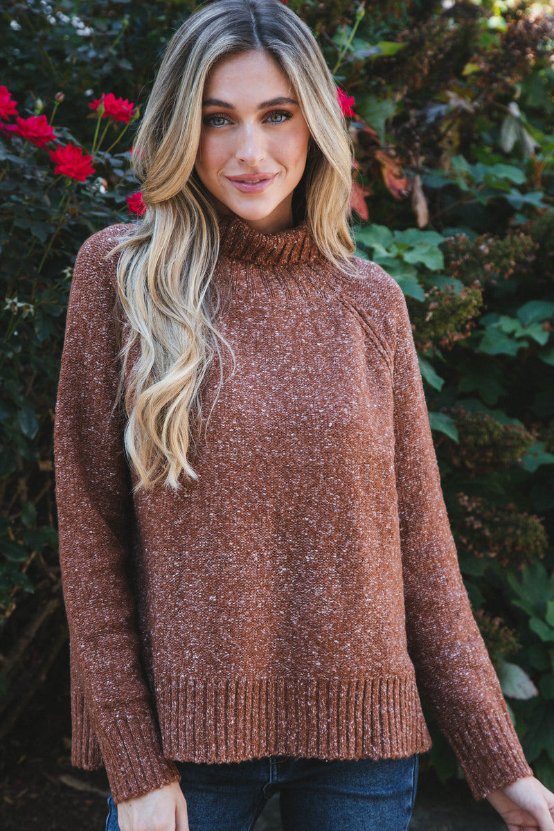 Adari Turtleneck Sweater, Brown