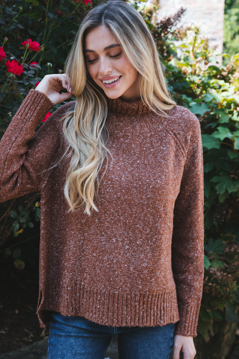 Adari Turtleneck Sweater, Brown