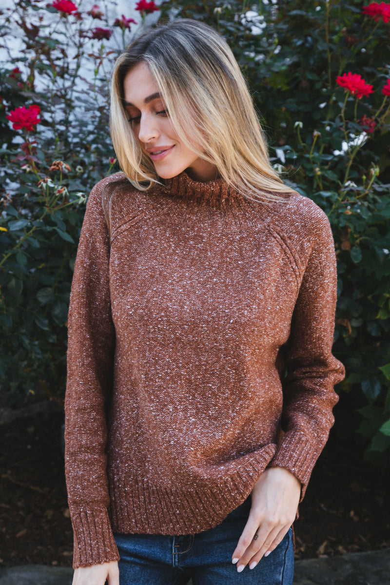 Adari Turtleneck Sweater, Brown