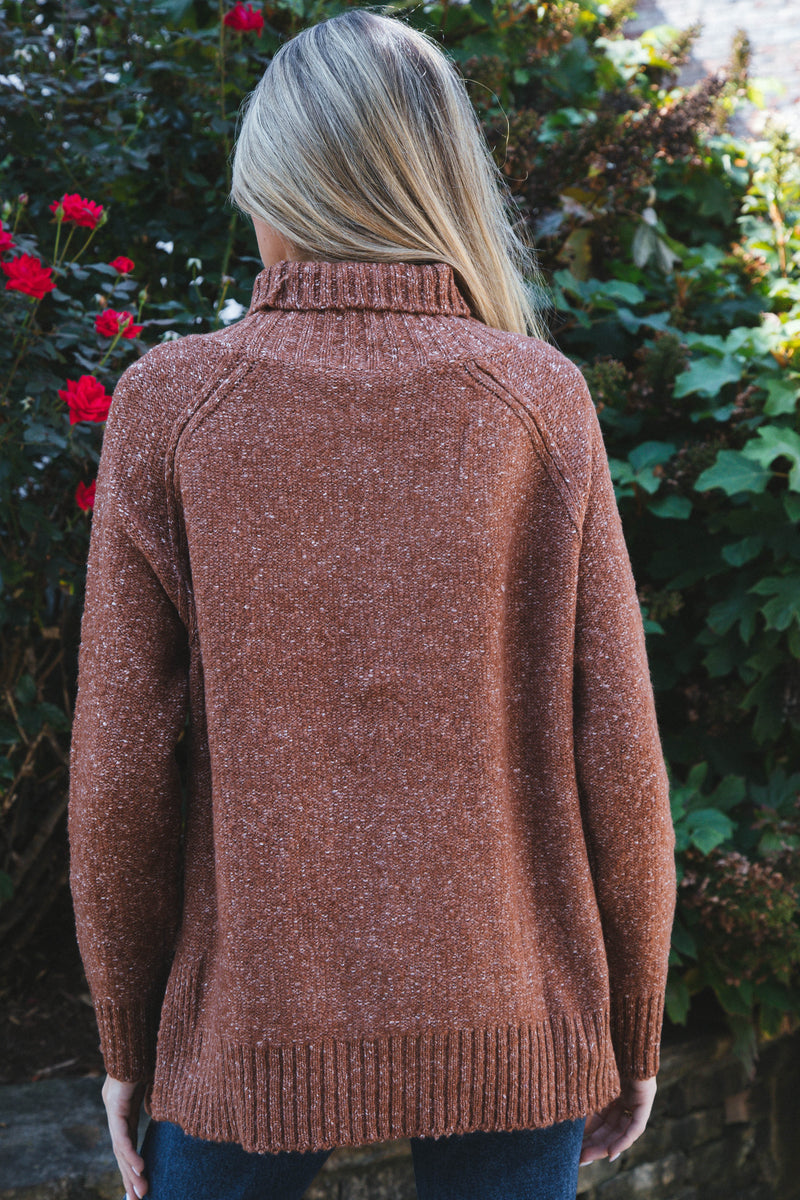 Adari Turtleneck Sweater, Brown