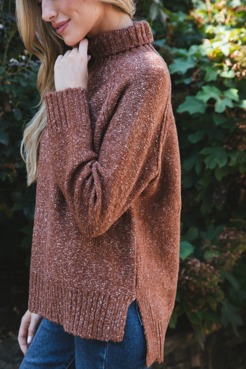 Adari Turtleneck Sweater, Brown