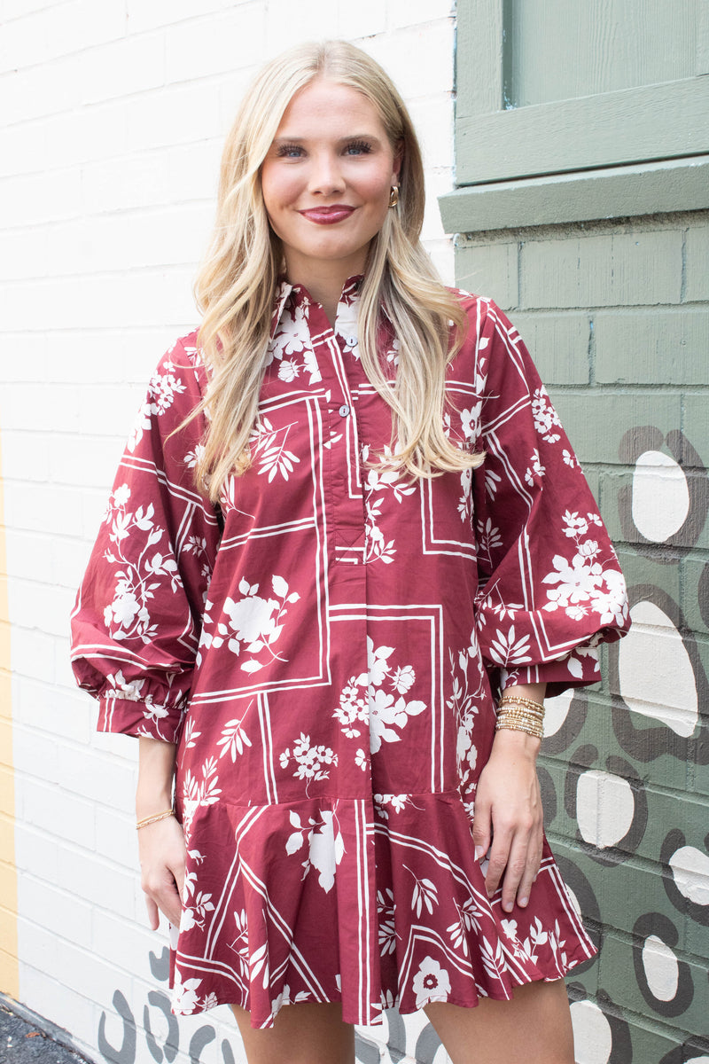 Charlie Printed Collared Mini Dress, Red Brown