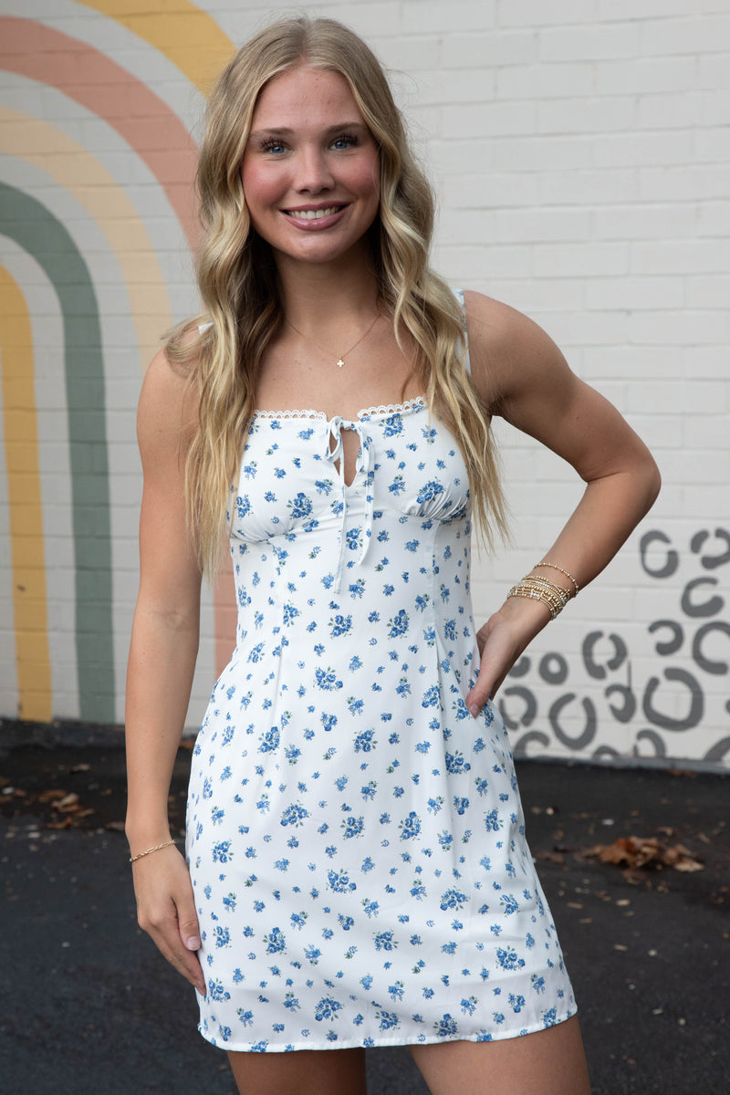Amalia Floral Lace Trim Dress, Blue Multi