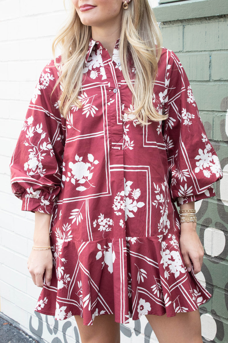 Charlie Printed Collared Mini Dress, Red Brown