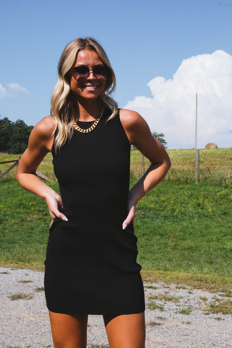 Hally Knit Sweater Tank Dress, Black
