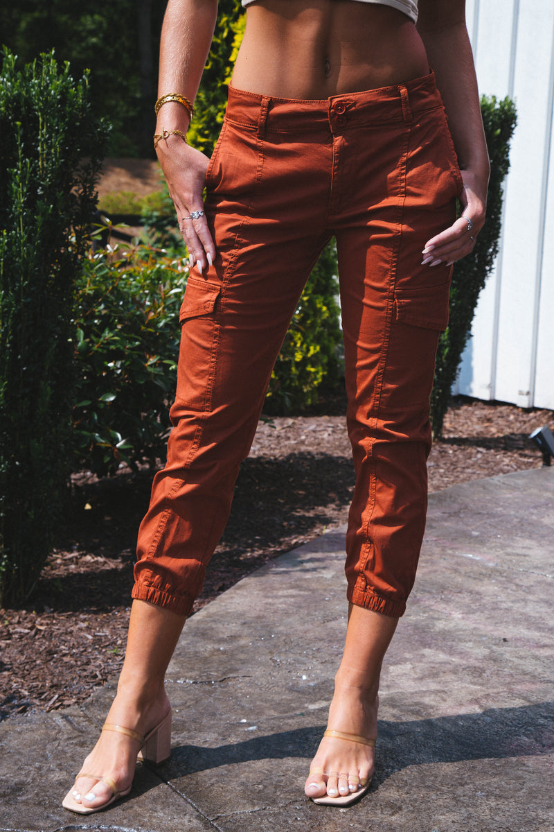 Rebel Cargo Pants, Cool Clay | Sanctuary