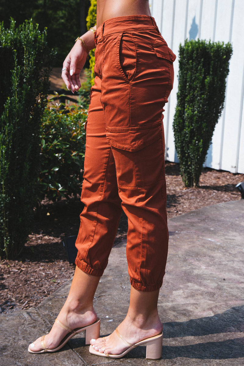 Rebel Cargo Pants, Cool Clay | Sanctuary