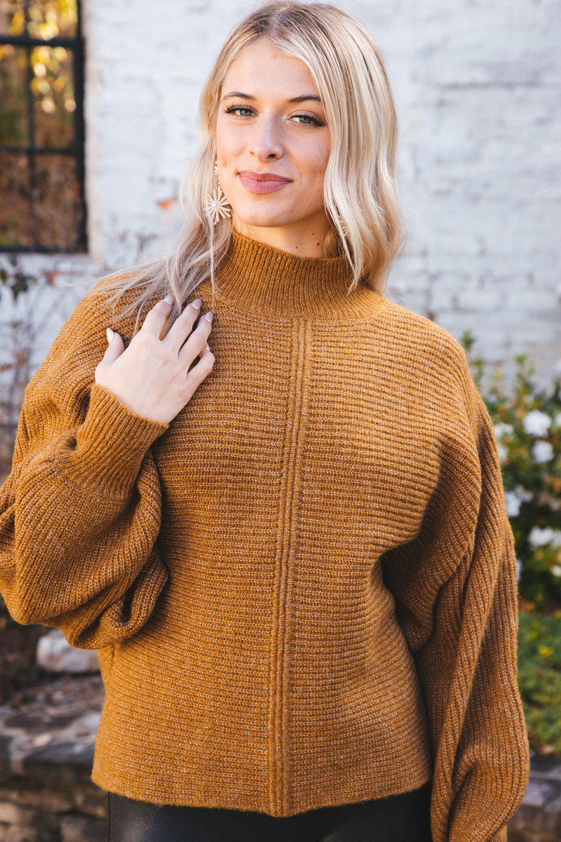 Elsie Chunky Mock Neck Sweater, Pale Brown