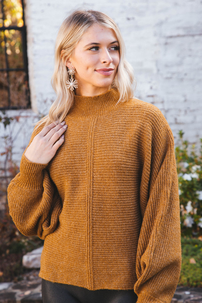 Elsie Chunky Mock Neck Sweater, Pale Brown