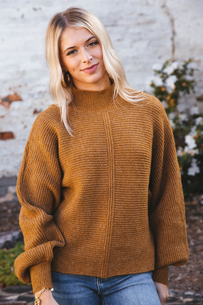 Elsie Chunky Mock Neck Sweater, Pale Brown