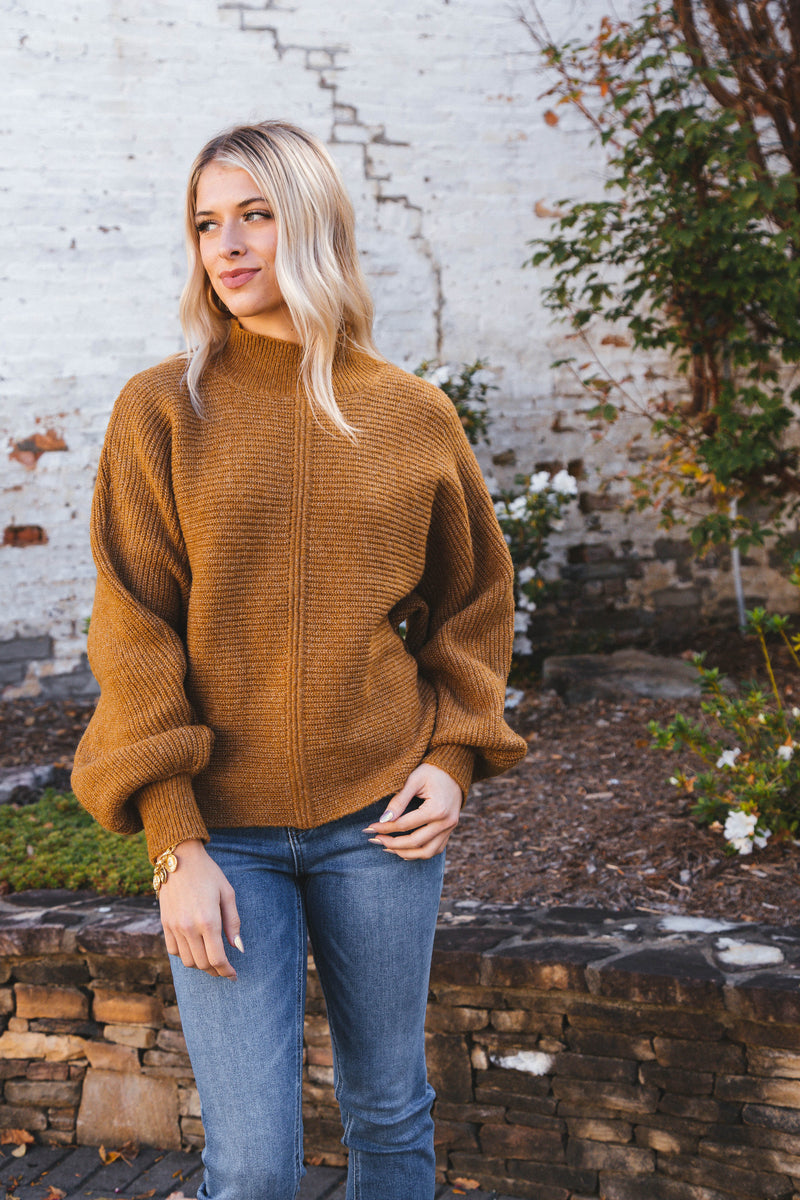 Elsie Chunky Mock Neck Sweater, Pale Brown
