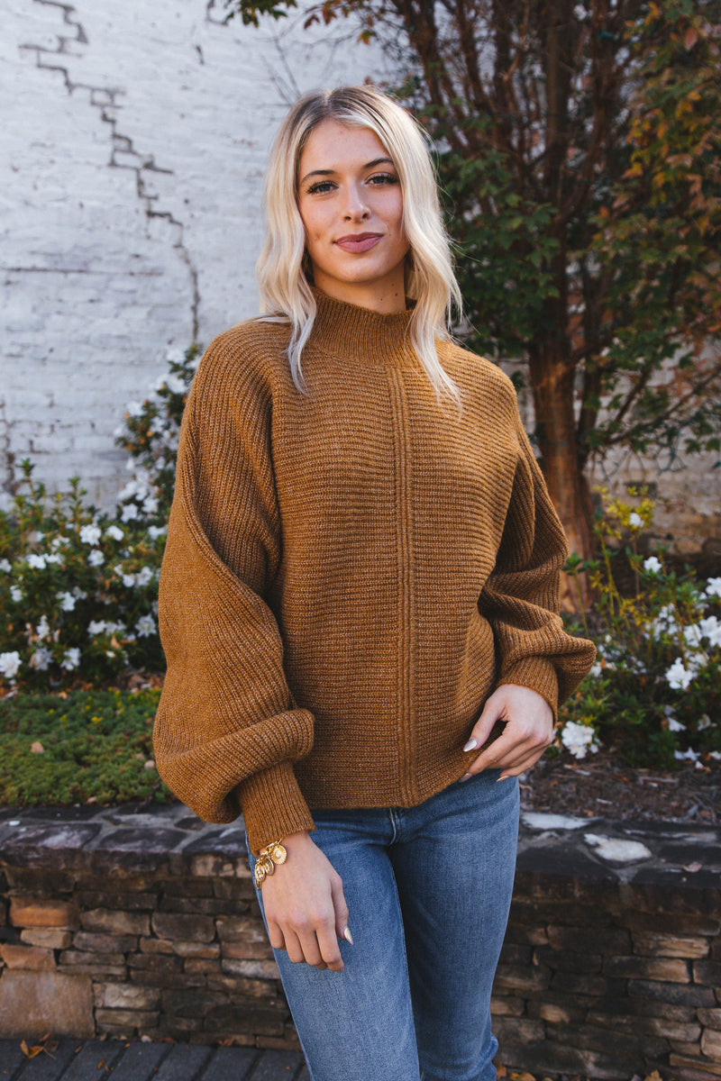 Elsie Chunky Mock Neck Sweater, Pale Brown