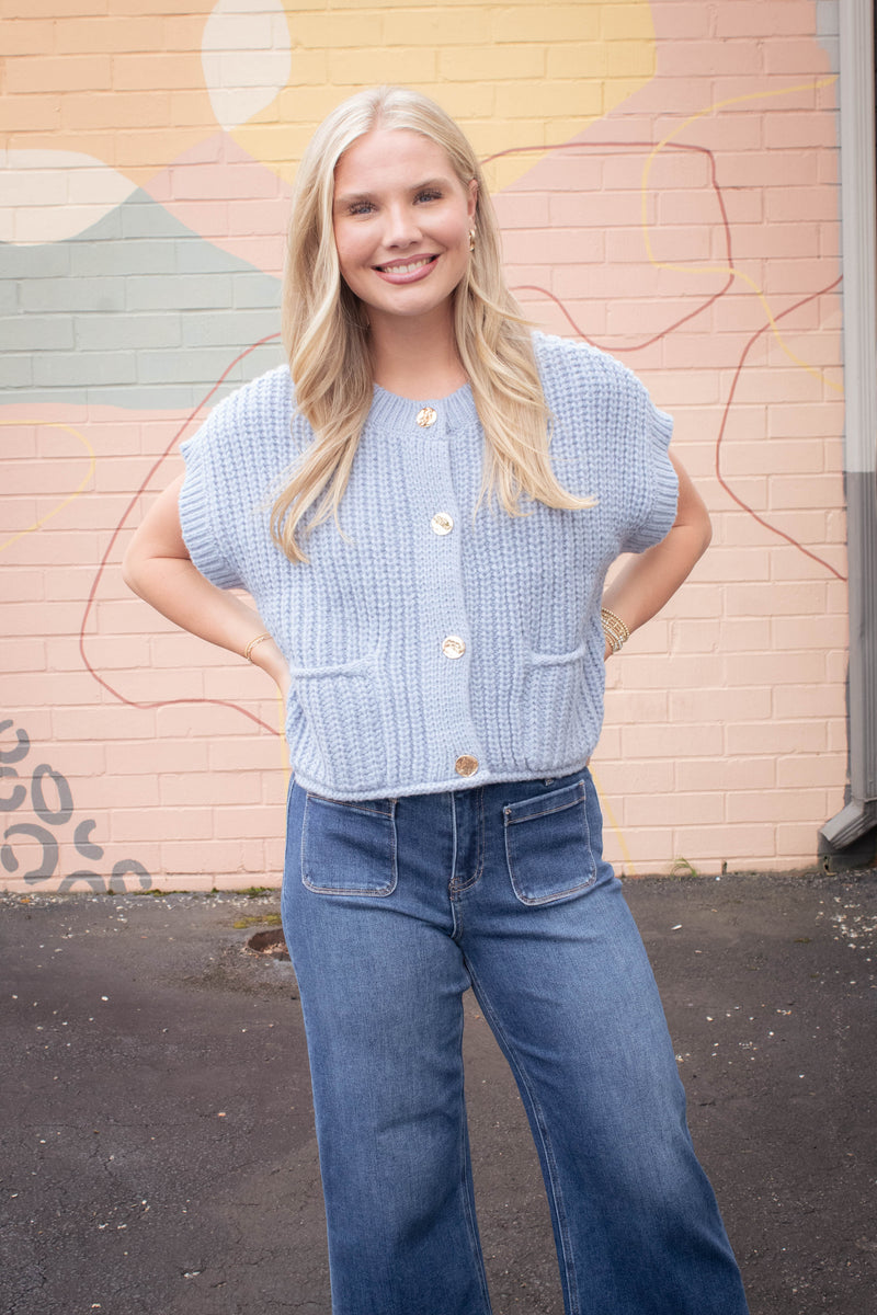 Dorothea Chunky Button Down Sweater, Blue