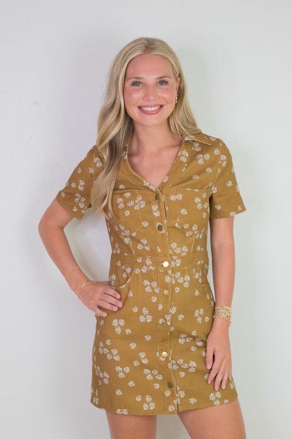 Susannah Collared Shirt Dress, Dark Mustard/Ivory Floral