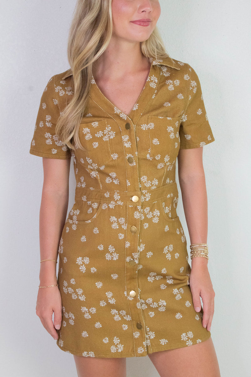 Susannah Collared Shirt Dress, Dark Mustard/Ivory Floral
