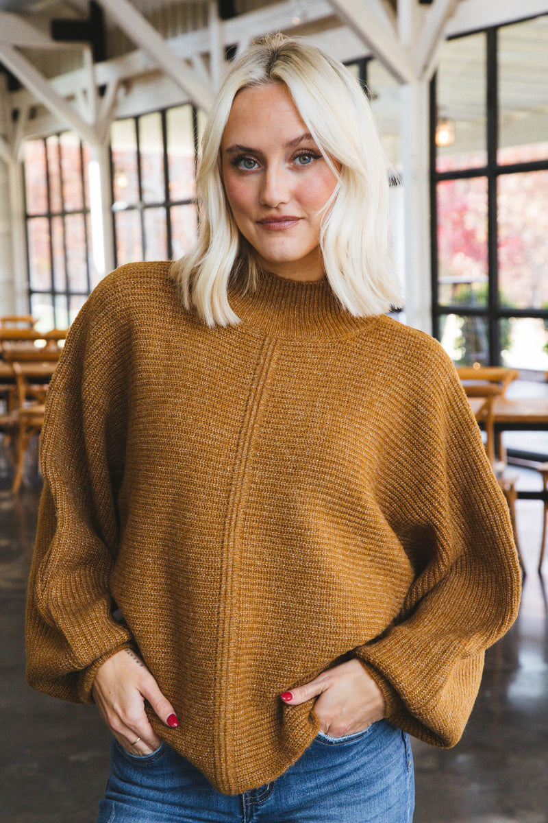 Elsie Chunky Mock Neck Sweater, Pale Brown