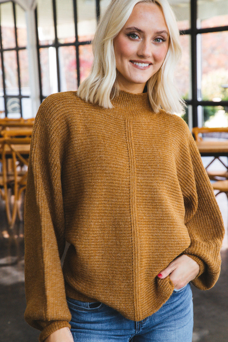 Elsie Chunky Mock Neck Sweater, Pale Brown