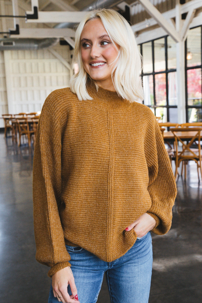 Elsie Chunky Mock Neck Sweater, Pale Brown
