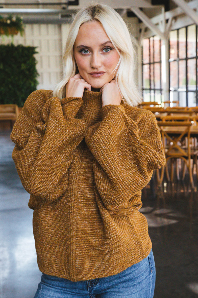 Elsie Chunky Mock Neck Sweater, Pale Brown
