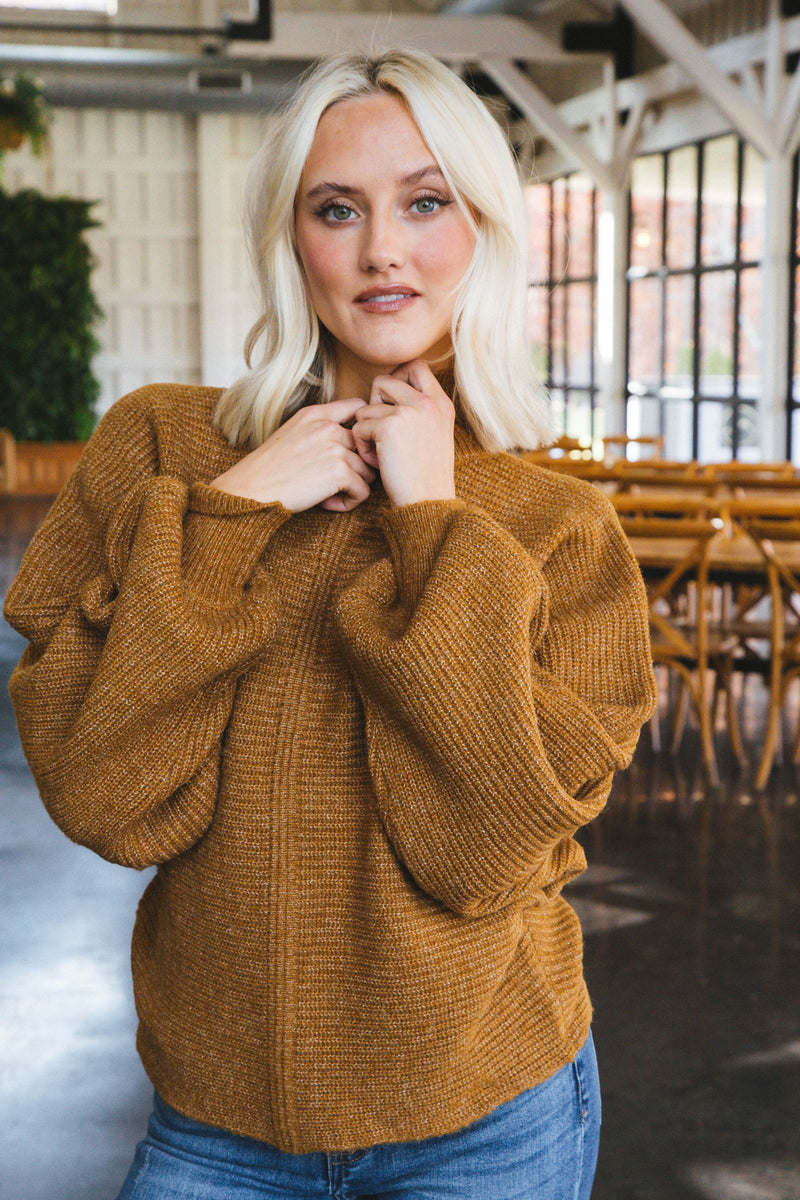 Elsie Chunky Mock Neck Sweater, Pale Brown