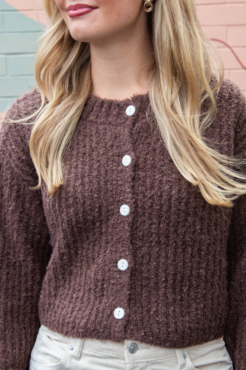 Emberly Fluffy Knit Cardigan, Chestnut
