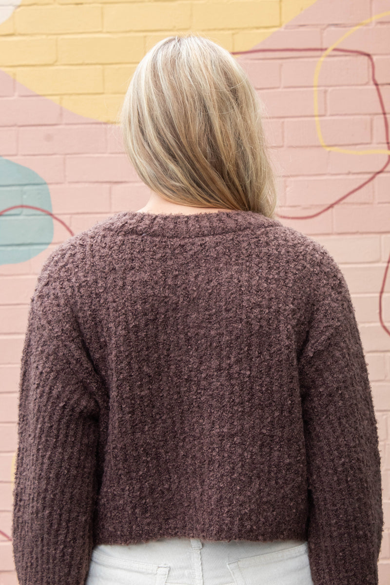 Emberly Fluffy Knit Cardigan, Chestnut