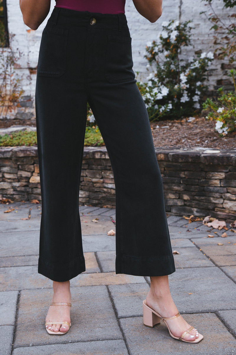 Alyx Twill Tencel Wide Leg Pant, Black | Velvet Heart
