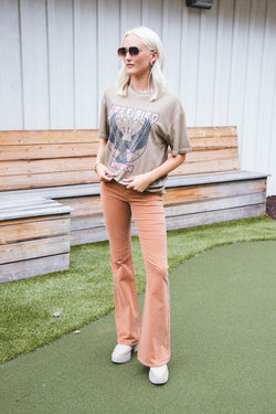 Free Bird America Graphic Tee, Taupe