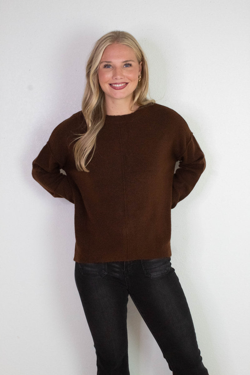 Noa Front Seam Detail Sweater, Brown