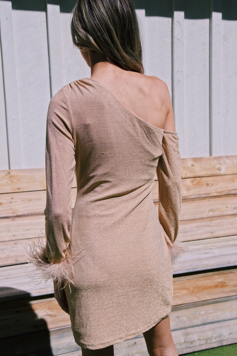 Pop The Bubbly Mini Dress, Champagne